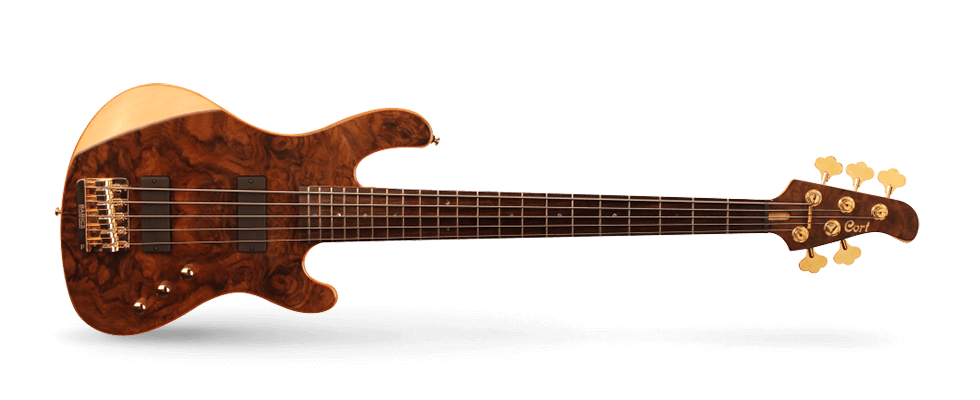Cort jeff berlin bass top
